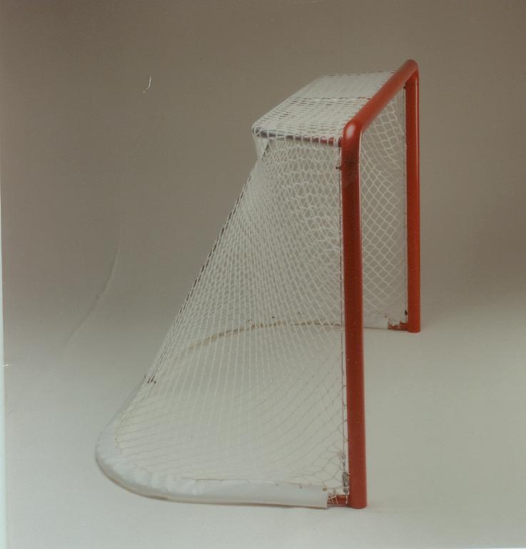 official nhl hockey net