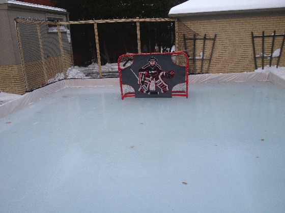 Protective Ice Hockey Rink Netting - Dr. Lorne Levy Toronto, Ontario, Canada