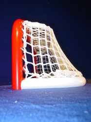 Pond Hockey Net 72x12 TS