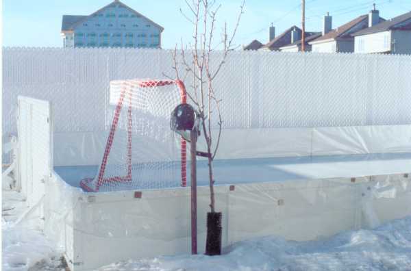 My young son on my backyard ice rink.
